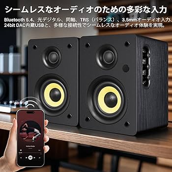 Amazon.co.jp: Sanyun SW206 4インチ HiFi ブックシェルフ